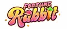 fortune rabbit